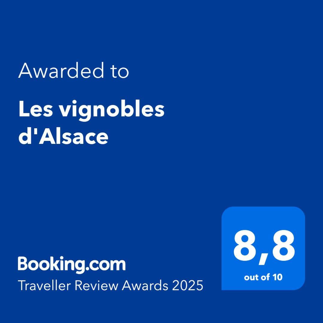 Les Vignobles D'Alsace Hotel Wintzenheim Ngoại thất bức ảnh